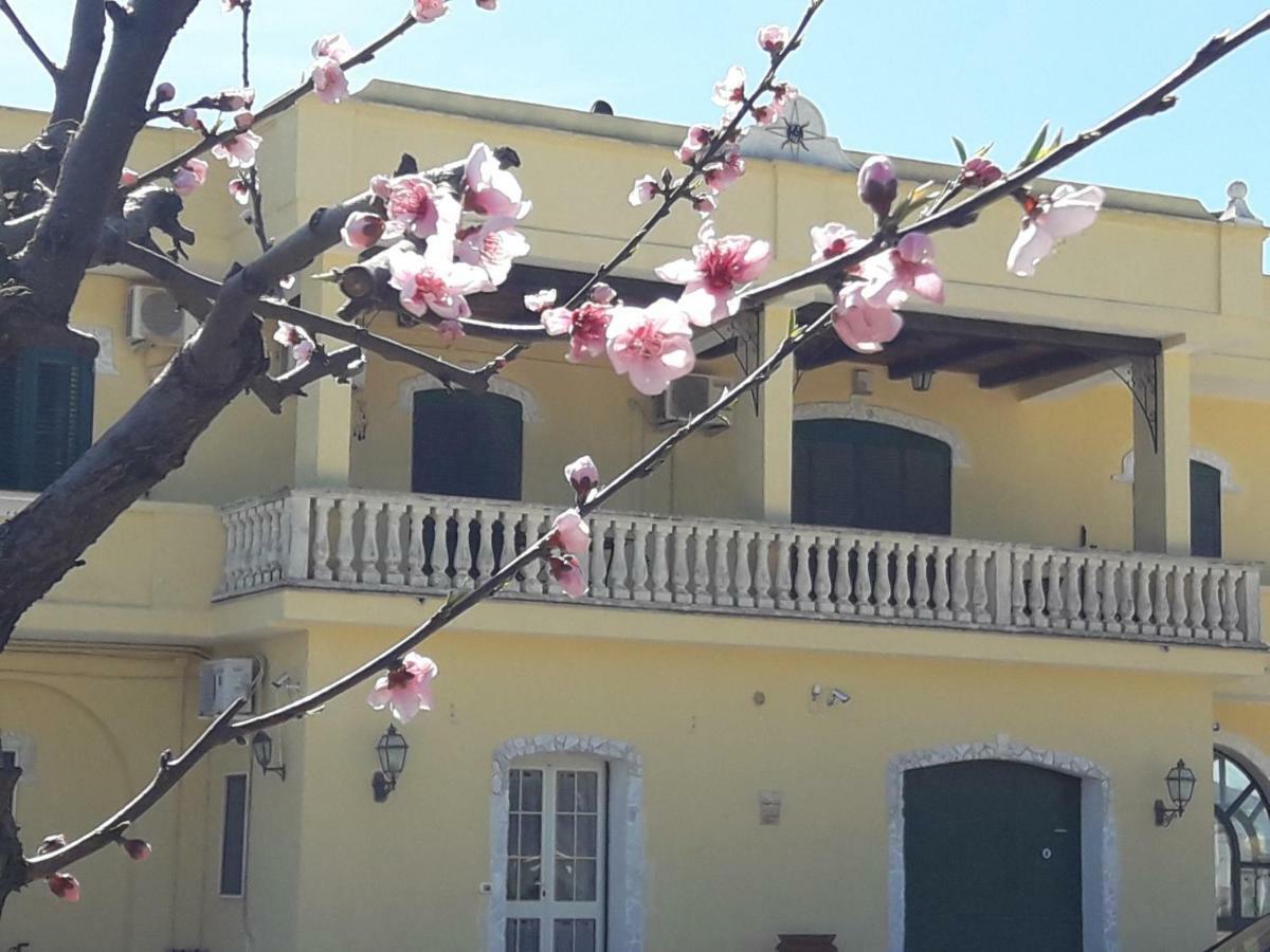 L' Annunziata *